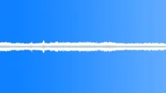 Nature Park Ambience: Early Summer Sunny Day & Birds, Palatine Hill Rome - Loop Sound Effect