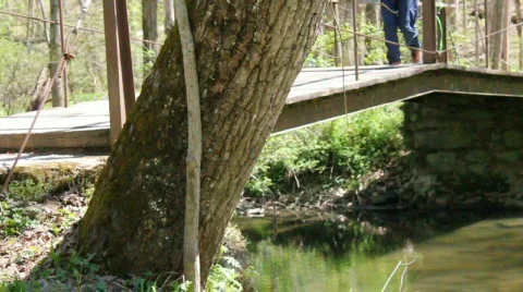 Nature park bridge  Stock Footage 838583