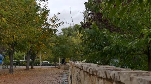 Nature park Stock Footage 43907980