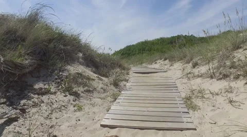 Nature park Stock Footage 54074687