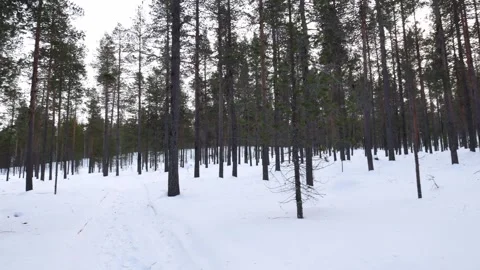 Nature park Stock Footage 279886986