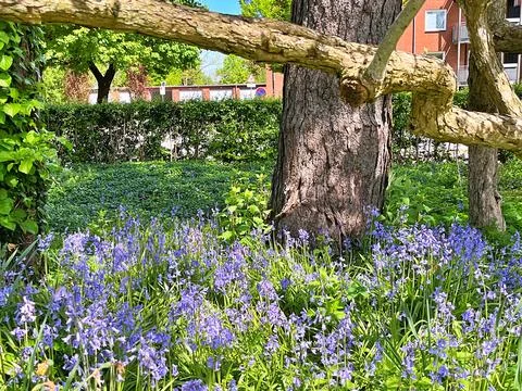 Nature in park Stock Photos
