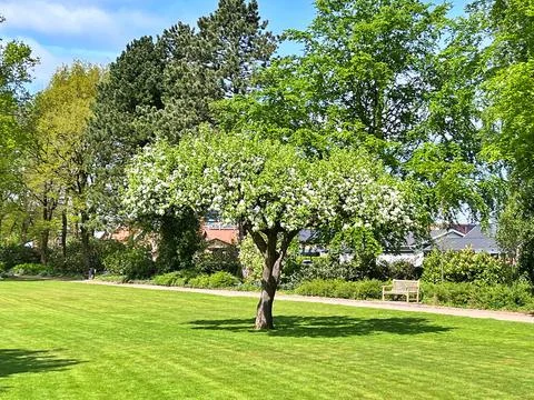Nature in park Stock Photos