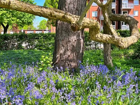 Nature in park Stock Photos