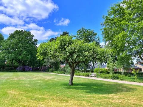  Nature in park Stock Photos