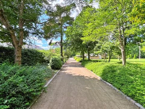 Nature in park Stock Photos