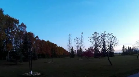 Nature Park Trees Grass Stock Footage 56775731