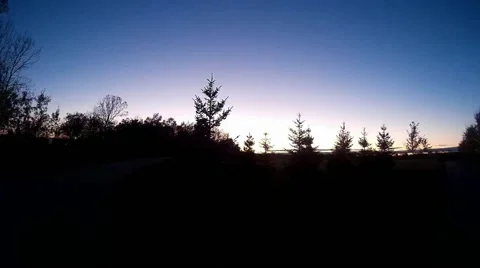 Nature Park Trees Grass Stock Footage 56775732