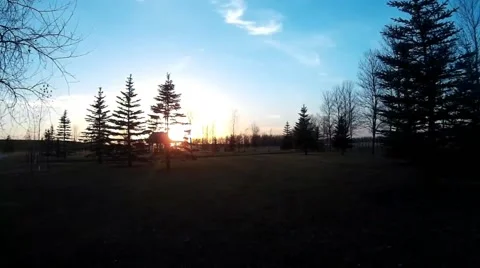 Nature Park Trees Grass Stock Footage 56775789