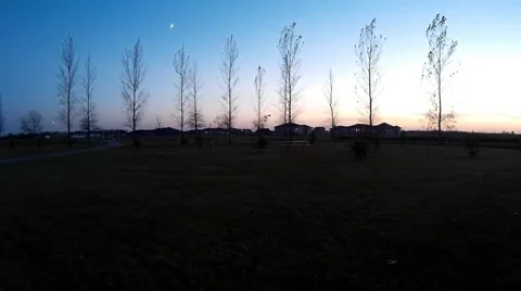 Nature Park Trees Grass Stock Footage 56775972