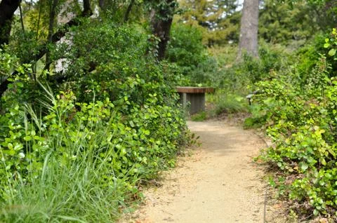 Nature path with bench in background Stock Photos