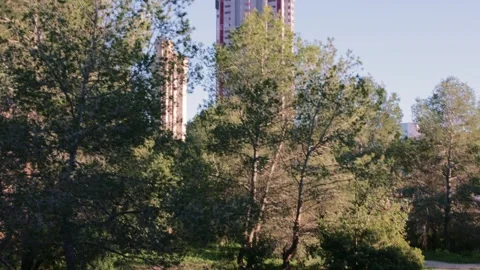 Nature Path with City Skyline in Benidorm Stock Footage 329320127