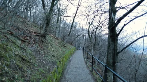 Nature path during winter cold season Stock Footage 117931282