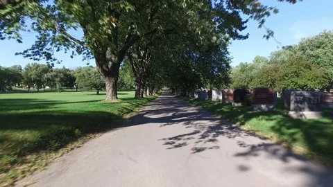 Nature Path Stock Footage 75800077