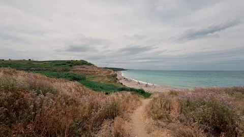 Nature path leading to the ocean at a beach during cloudy weather Stock Footage 343376330