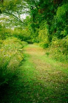 Nature path Stock Photos