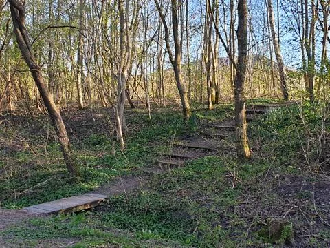 Nature path Stock Photos