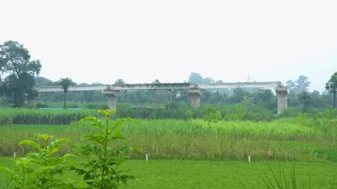 Nature Path Roads Amidst Greenery Stock Footage 326289148