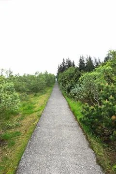 Nature Pathway Perspective Stock Photos
