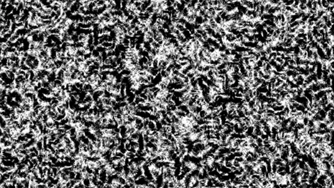 Nature pattern with black and white textures in a close up view Stock Footage 344098397
