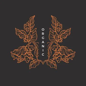 Nature pattern Vector coffee tree Art line symbol 스톡 일러스트