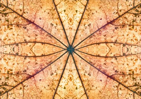 Nature patterns Stock Photos