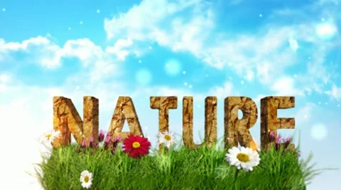 Nature Peace After Effects stock