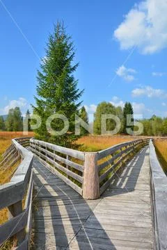 Nature peat bog trial landscape in Bieszczady National Park in Poland Stock Photos