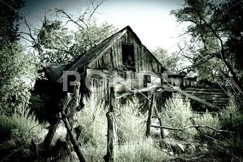 Nature Stock Photos