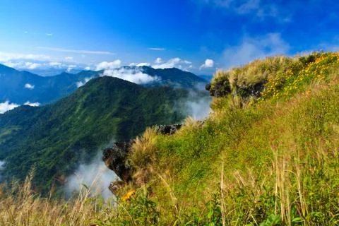 Nature Foto stock