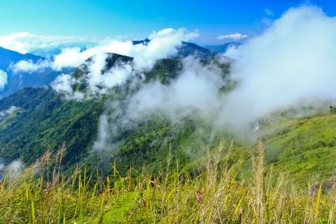 Nature Stock Photos