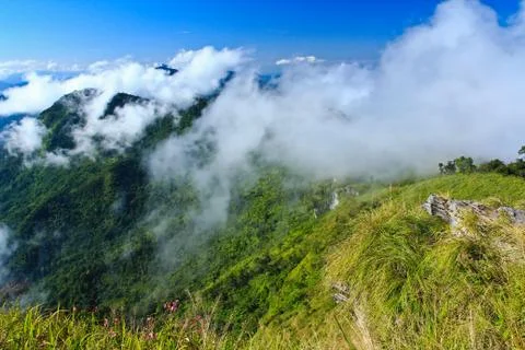 Nature Stock Photos