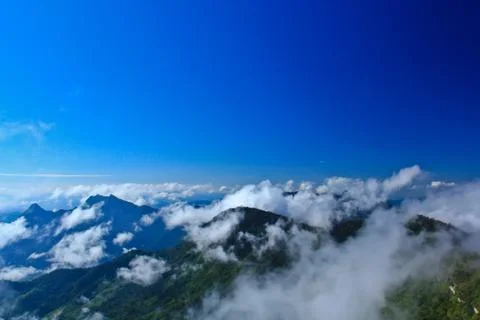 Nature Stock Photos
