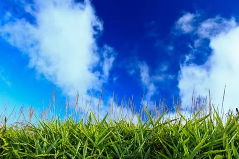 Nature Stock Photos