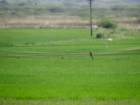 Nature 스톡 사진