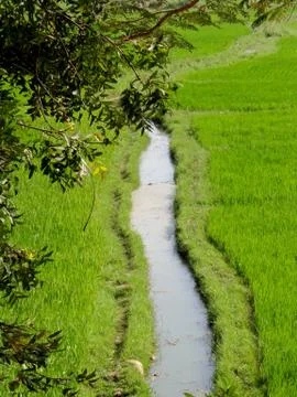 Nature 스톡 사진