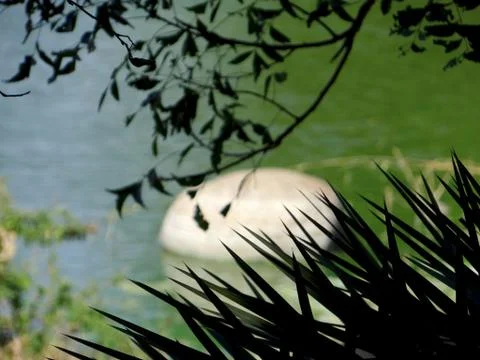 Nature 스톡 사진