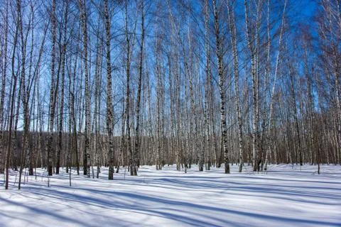 Nature Stock Photos