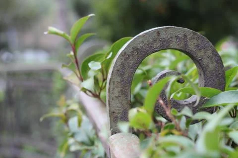 Nature Stock-Fotos