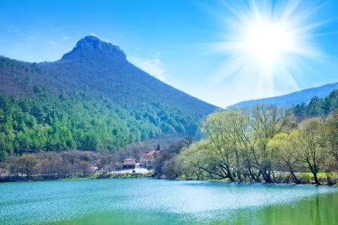 Nature Stock Photos