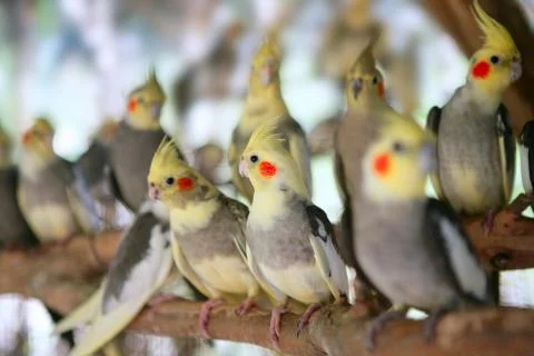Nature Foto stock