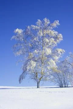 Nature Stock Photos