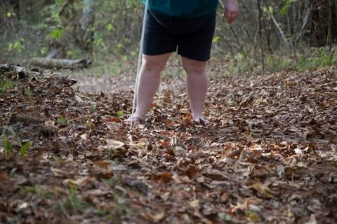 Nature Stock Photos