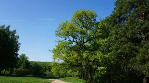 Nature Stock Photos