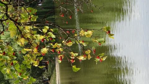 Nature Stock Photos