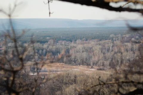 Nature Stock Photos