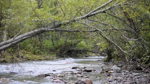 Nature Stock Photos