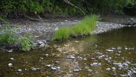 Nature Stock Photos
