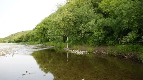 Nature Stock Photos