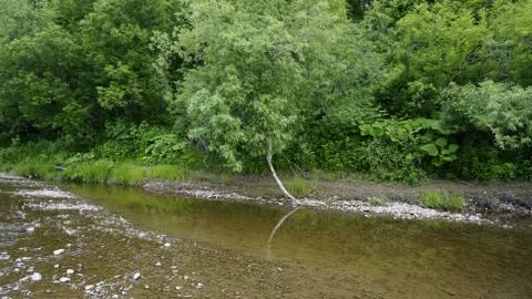 Nature Stock Photos